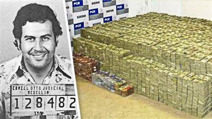 How Much Money Did Pablo Escobar Burn Messer Guill1987