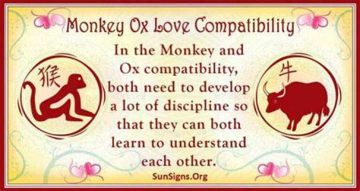 Monkey And Ox Compatibility Satisfying Attraction