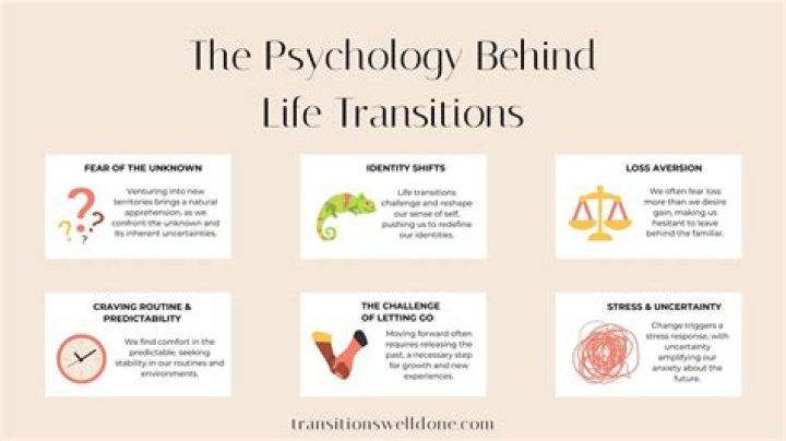 The Ultimate Guide To Understanding Shiloh Transitions